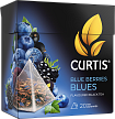 Пирамидалардағы шай Blue Berries Blues 20 пирамидалар сатып алу